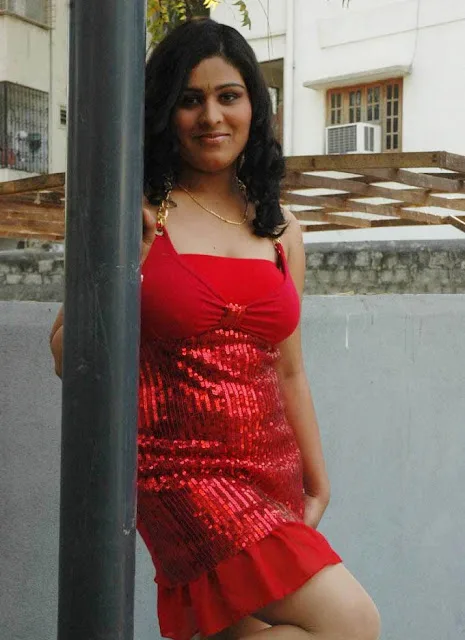 Abilasha-Hot-Bikini-Image