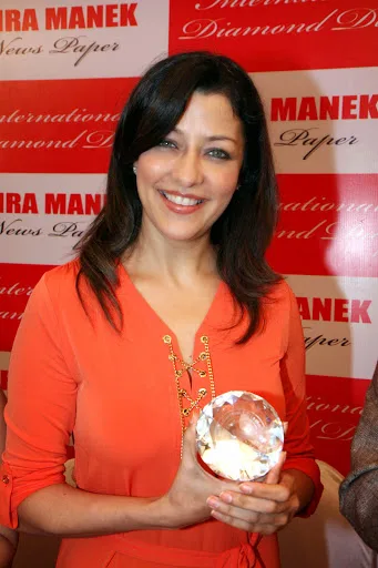Aditi-Govitrikar-Hot-Sexy-Bikini-Photos
