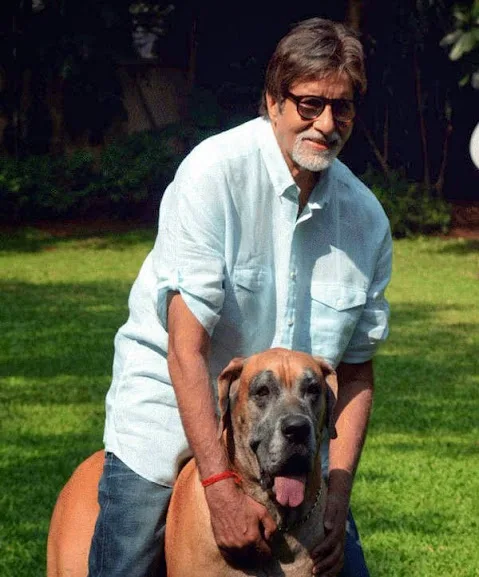 Amitabh Bachchan Hot Scene Shirtless Body Photos