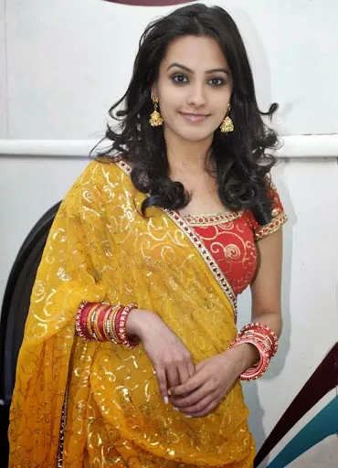 Anita Hassanandani Hot Sexy Bikini Photos