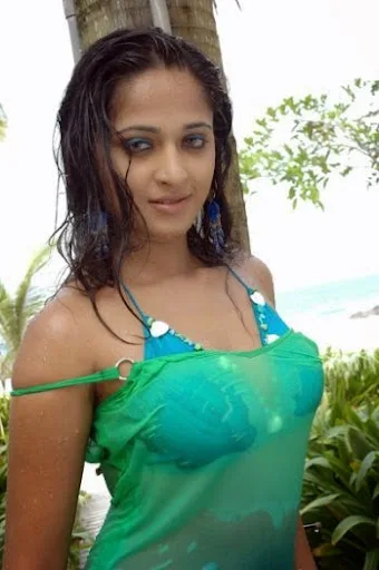 Anushka Shetty Hot Sexy Bikini Image Gallery