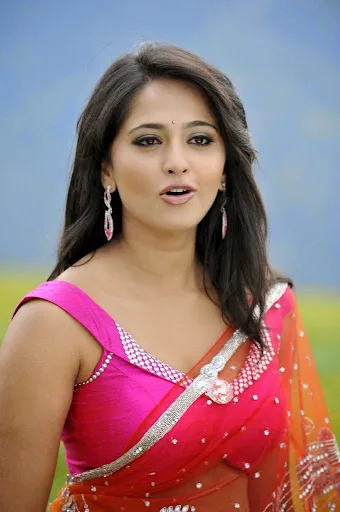 Anushka Shetty Hot Sexy Bikini Pic