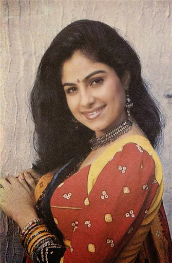 Ayesha-Jhulka-Hot-Bikini-Image-Gallery