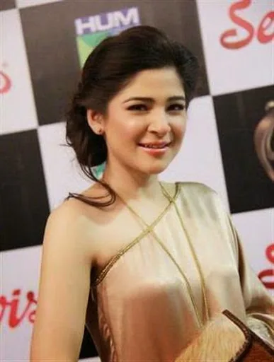 Ayesha Omar Hot Sexy Bikini Image Gallery