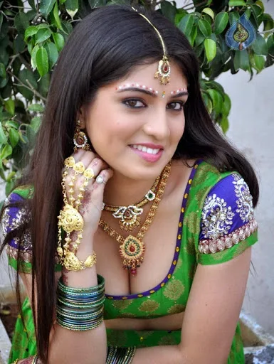 Barsha-Priyadarshini-Hot-Bikini-Image-Gallery