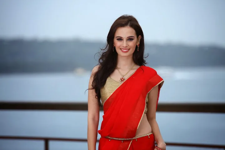 Evelyn Sharma Hot Sexy Bikini Images