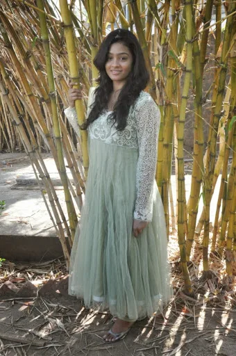 Gayathrie-Hot-Bra-Images