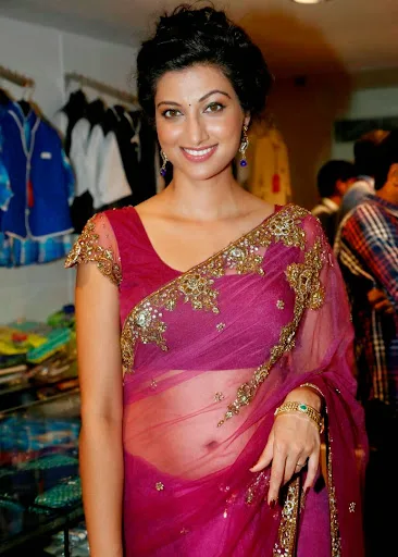 Hamsa Nandini Hot Sexy Bikini Wallpaper