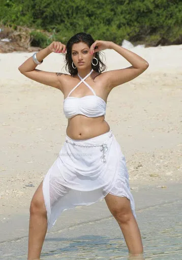 Hamsa Nandini Hot Bra Images