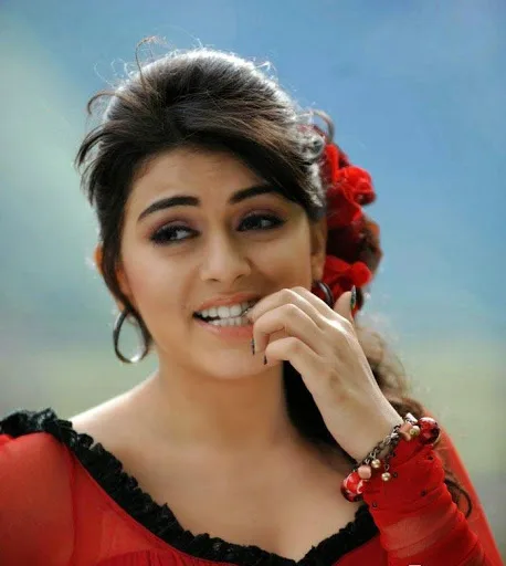 Hansika-Motwani-Hot-Bikini-Pic