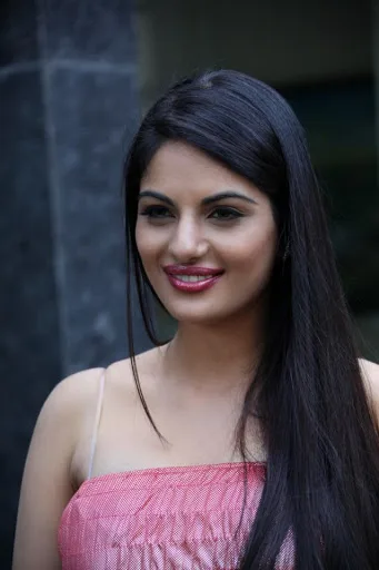 Jinal-Pandya-Hot-Bikini-Still