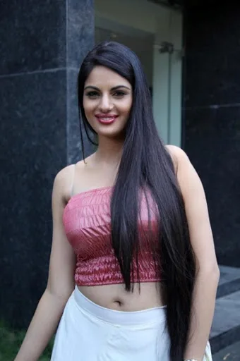 Jinal-Pandya-Hot-Bikini-Photo-Gallery