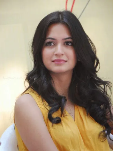 Kriti-Kharbanda-Hot-Stills