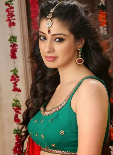 Lakshmi-Rai-Hot-Bikini-Photos