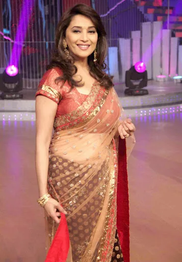 Madhuri Dixit Hot Sexy Bikini Images
