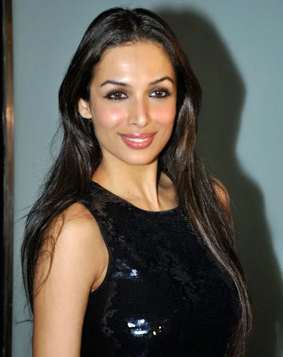 Malaika Arora Khan Hot Sexy Bikini Bra Photo