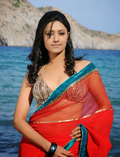 Mamta-Mohandas-Hot-Bikini-Still