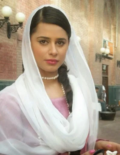 Mehreen Raheel Hot Sexy Bikini Wallpapers