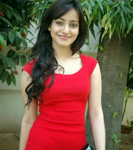 Neha-Sharma-Hot-Sexy-Bikini-Stills