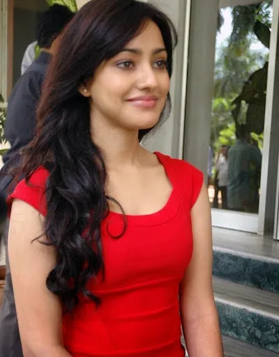 Neha-Sharma-Hot-Sexy-Bikini-Photos