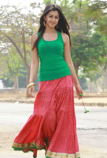 Nikki Galrani Hot Sexy Bikini Pics
