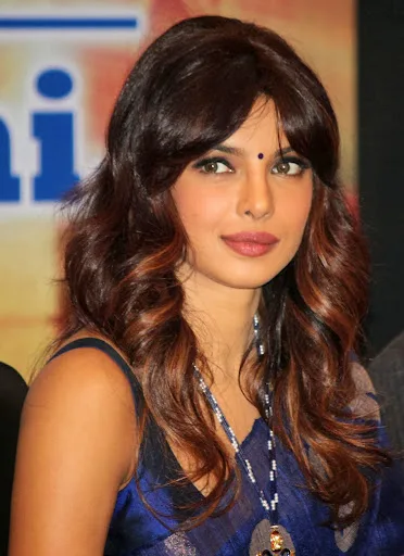 Priyanka Chopra Hot Bikini Stills