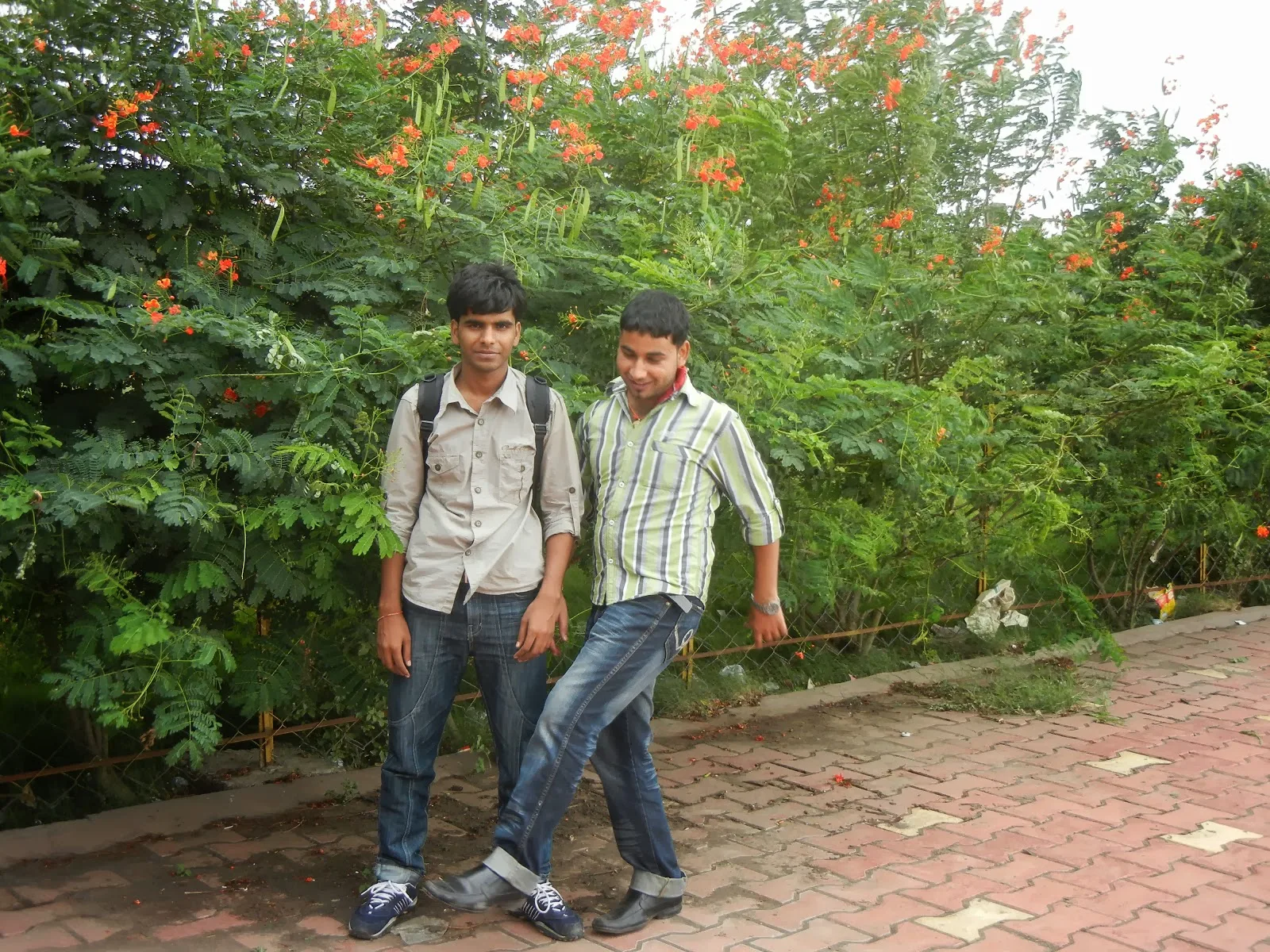 Rajesh-Kumar-Singh-Photo