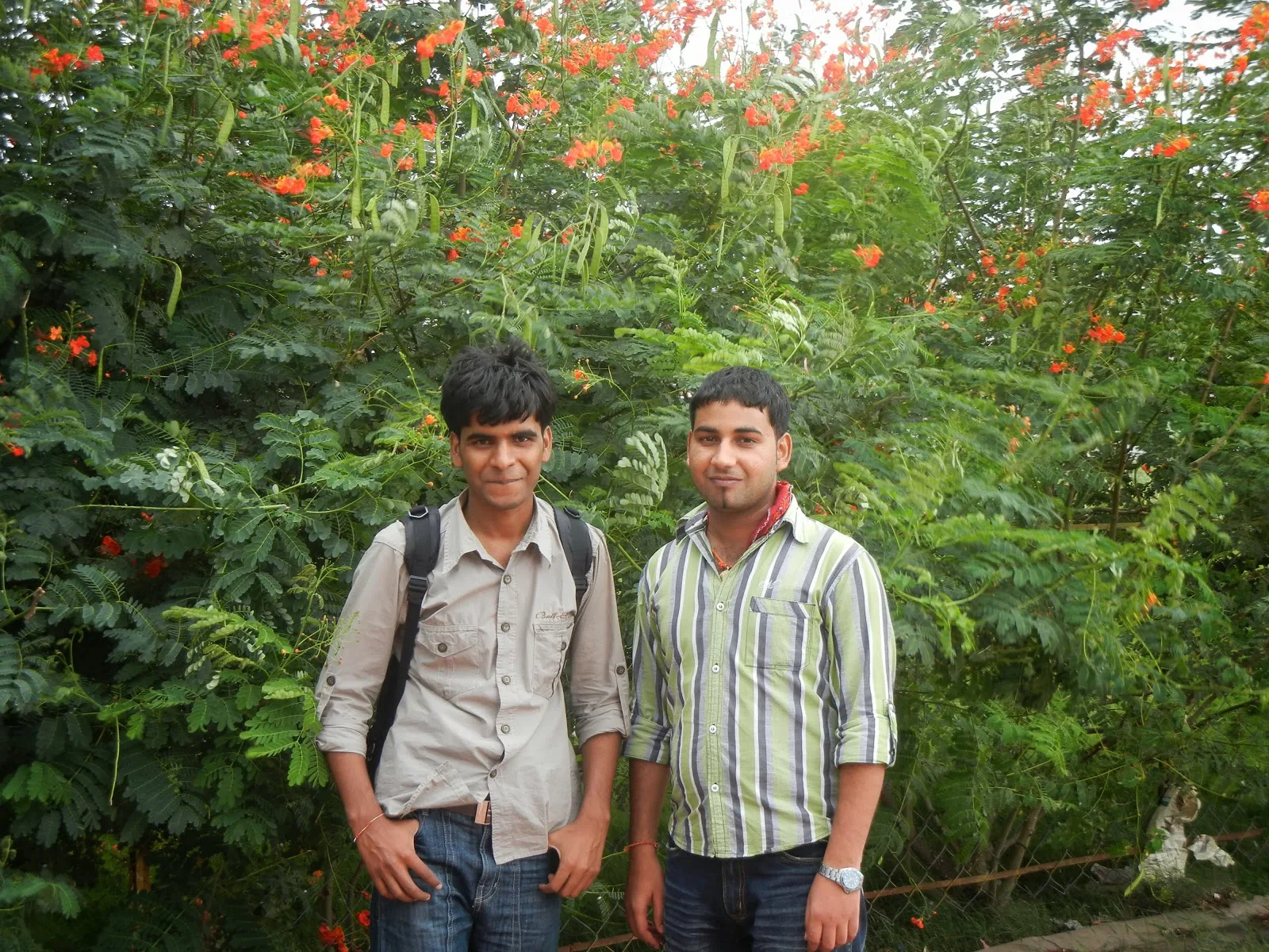 Rajesh-Kumar-Singh-Pictures