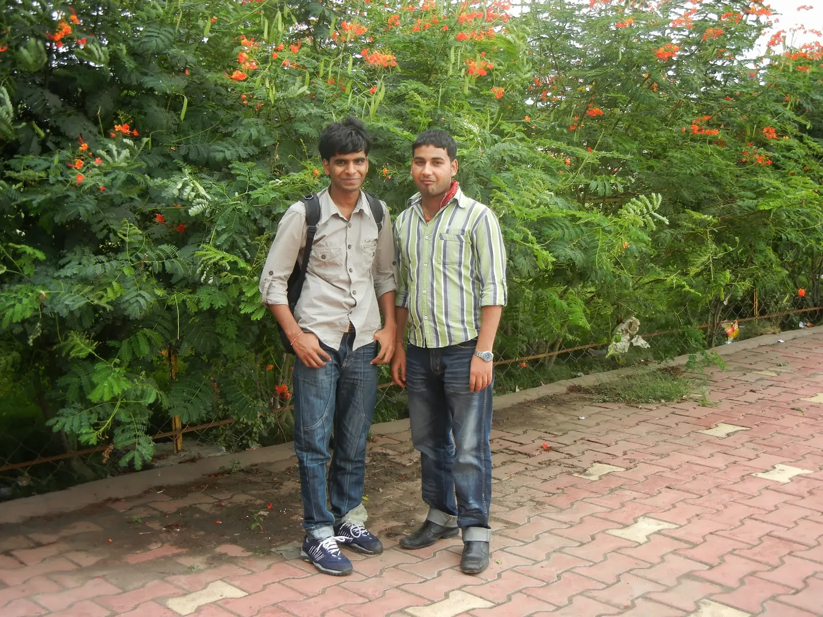 Rajesh-Kumar-Singh-Wallpapers