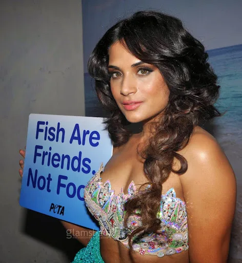 Richa Chadda Hot Sexy Bikini Image Gallery