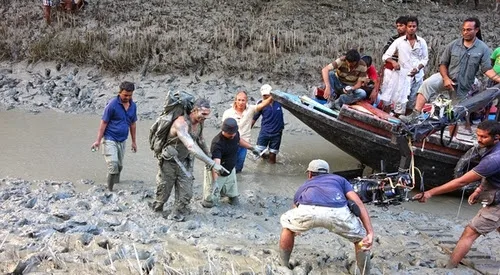 Roar Hindi Movie Wallpapers