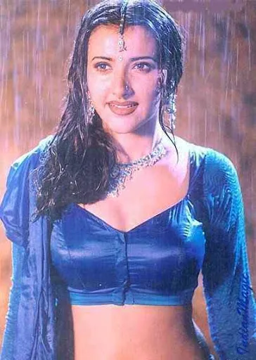 Sakshi-Shivanand-Hot-Bikini-Image-Gallery