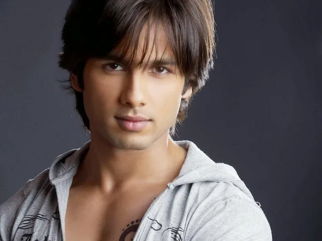 Shahid Kapoor Hot Photo