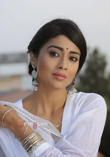 Shriya Saran Hot Sexy Bikini Wallpaper