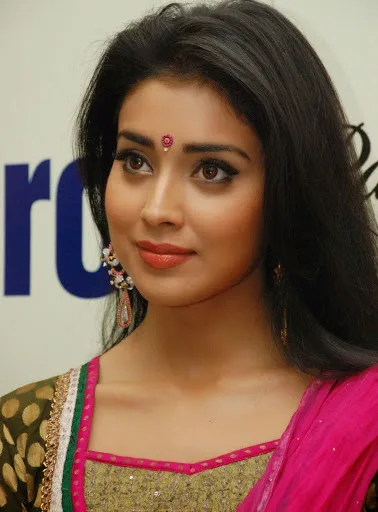 Shriya Saran Hot Bra Pictures