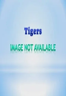 Tigers (2015) Movie Details, Release Date, Budget, Cast & Details