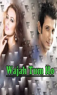 Wajah Tum Ho (2016) Movie Details, Release Date, Budget, Star Cast & Details