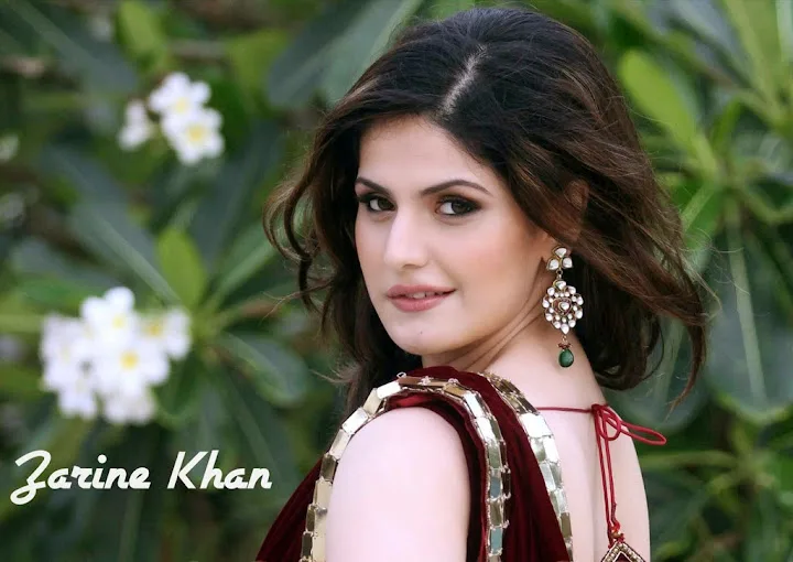 Zarine-Khan-Hot-Photo-Gallery