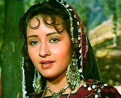 Zeba Bakhtiar Hot Sexy Bikini Image Gallery